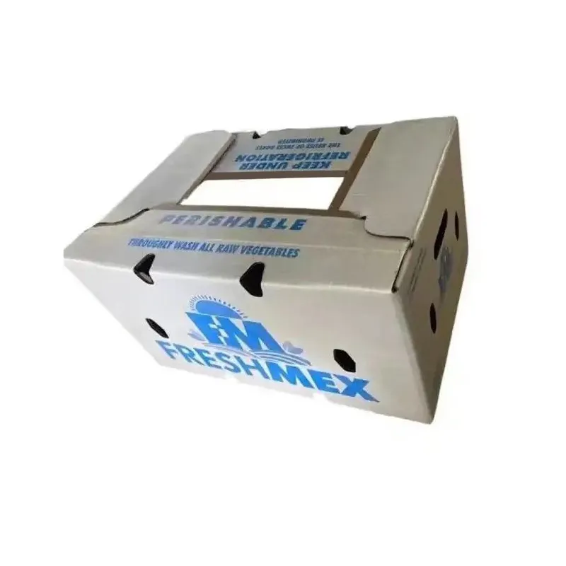 लोगो मुद्रित मेण नालीदार बॉक्स